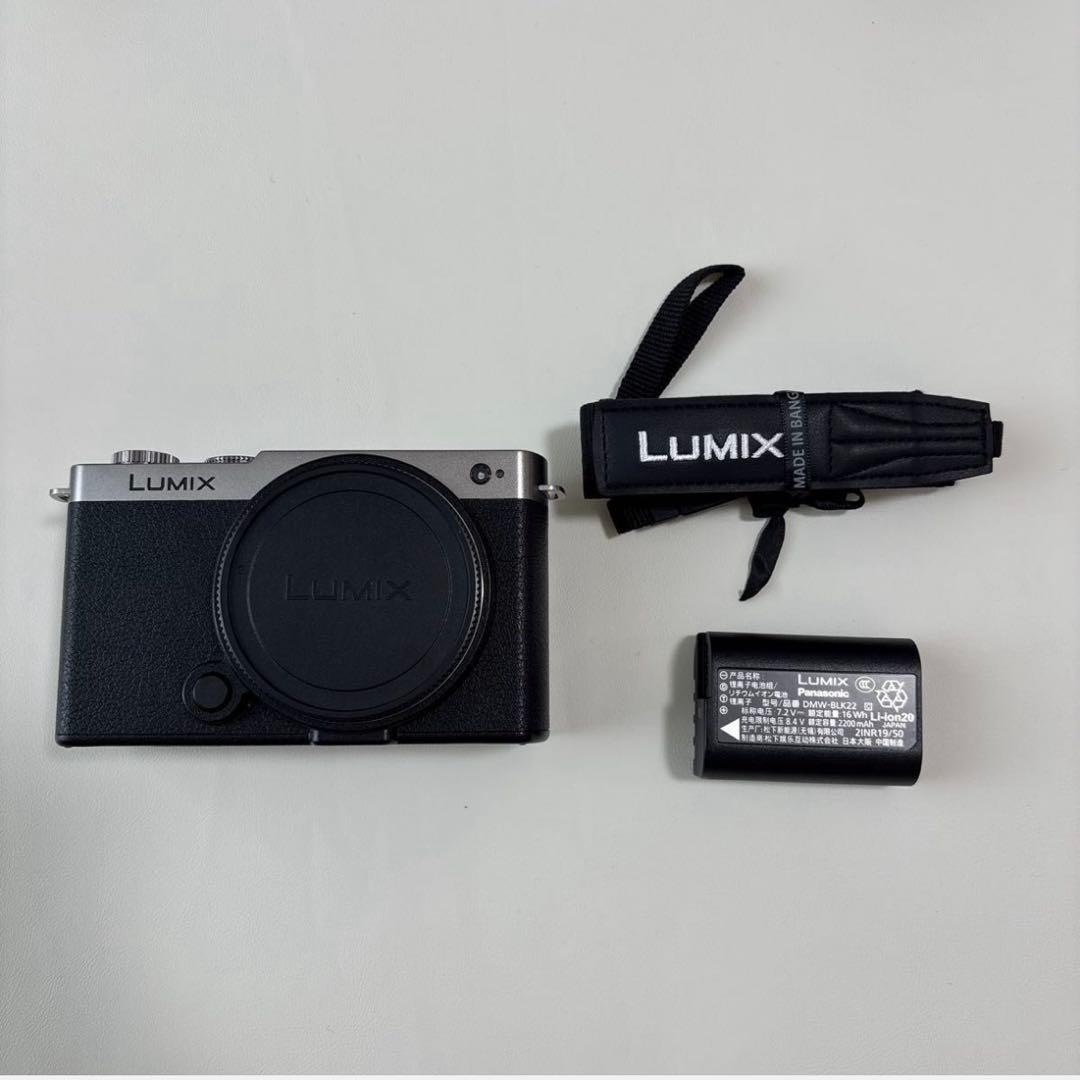 ★極上品★LUMIX S9 ボディ DC-S9-S ダークシルバー