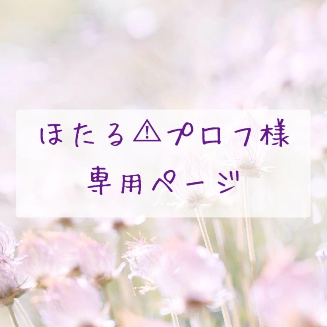 ほたる⚠︎プロフページ