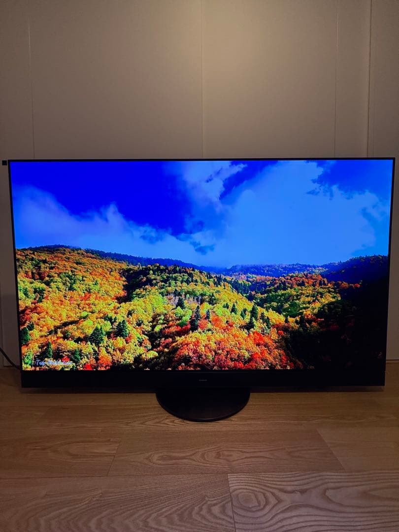 【送料無料】Panasonic 2022年製 55型 TH-55LZ2000