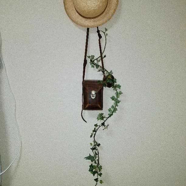 アンティーク　カメラケース