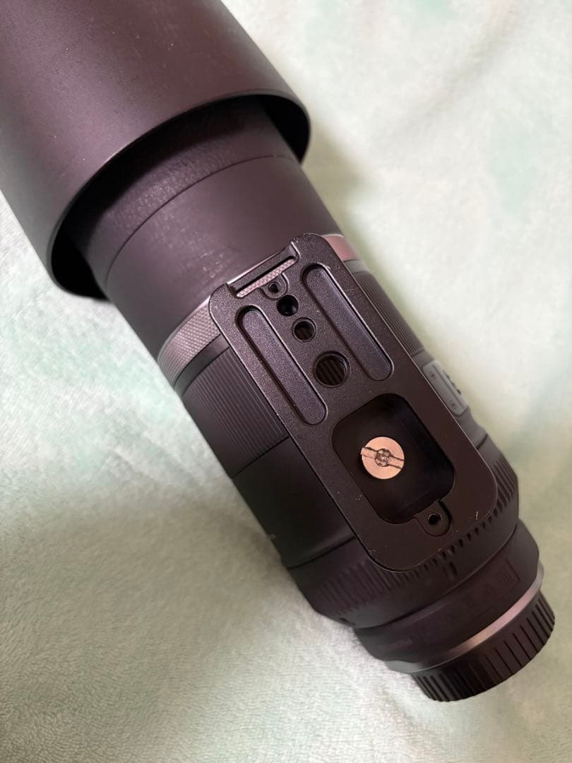 Canon 800mm 単焦点レンズ