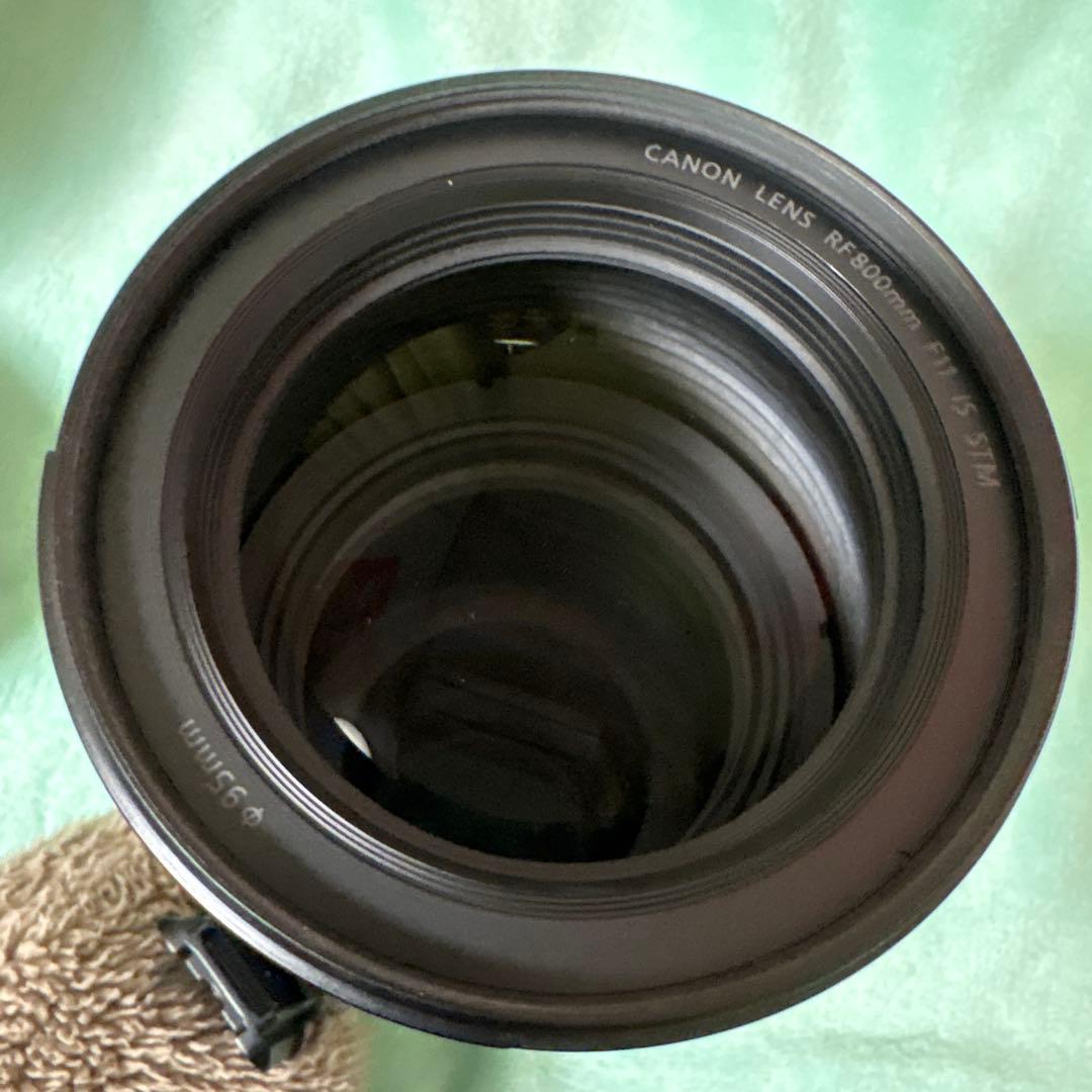 Canon 800mm 単焦点レンズ