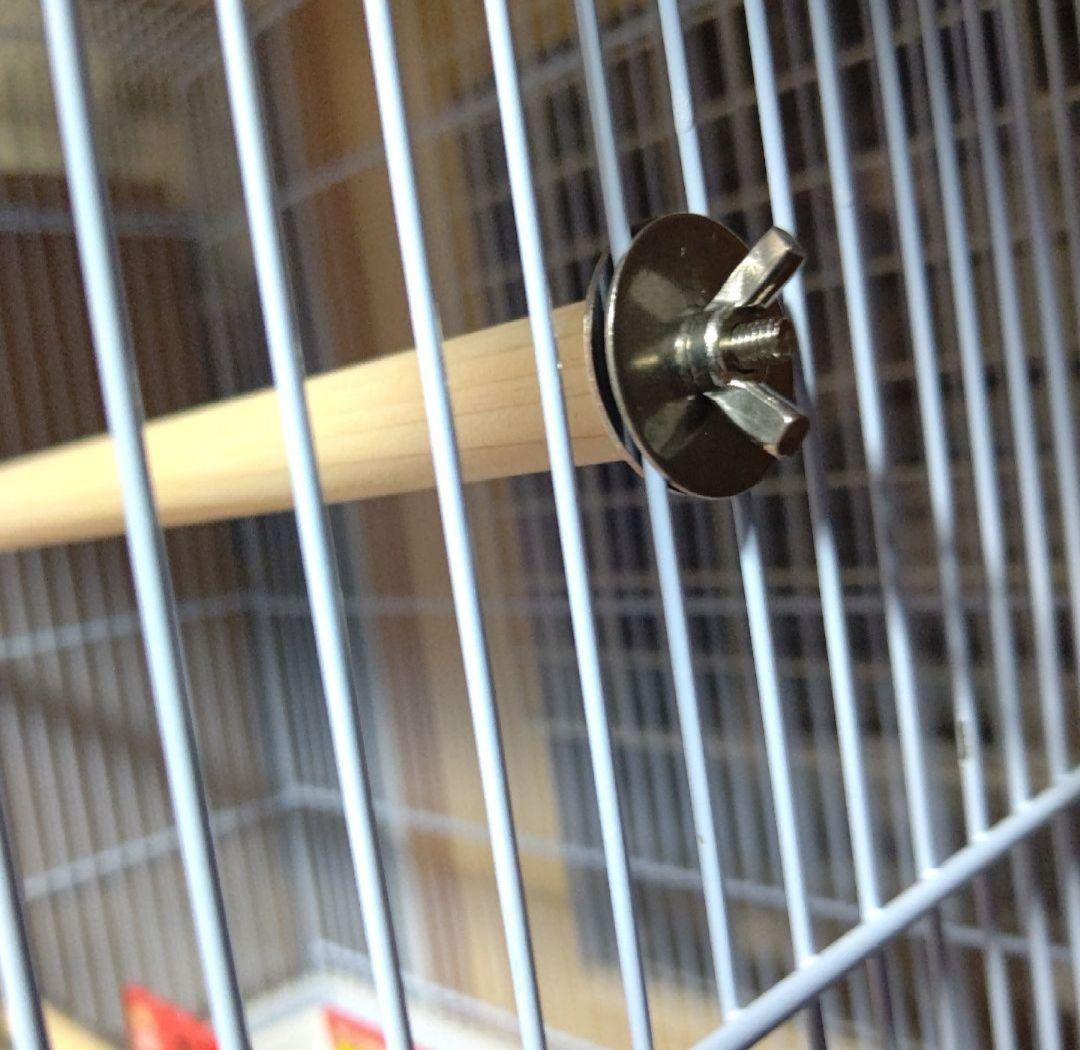 クオリス465 オカメインコ