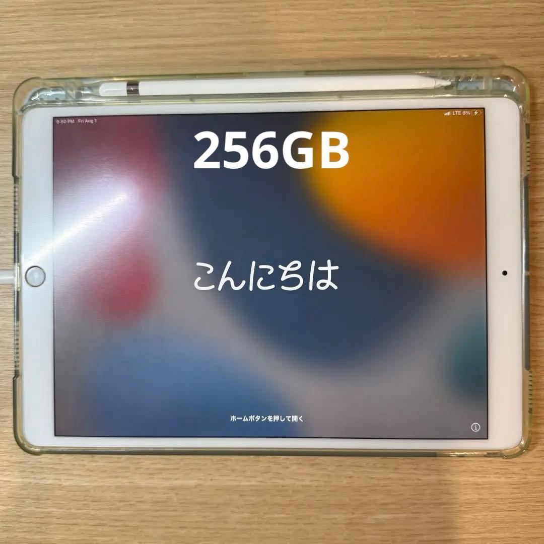 iPadPro 10.5インチ256GB SIMフリーカード付属（無効化済み）