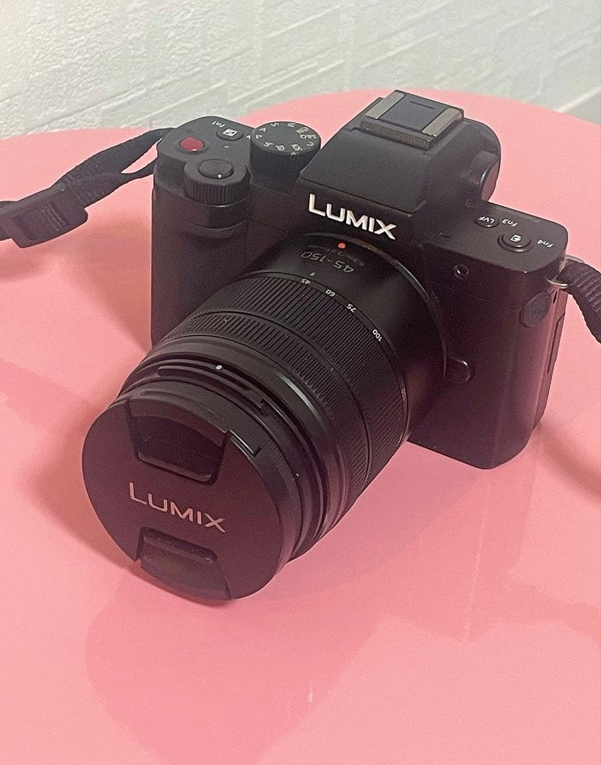 Panasonic LUMIX G100 DC-G100 ダブルズームキット