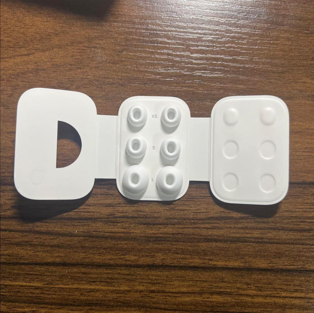 Apple AirPods Pro 2 USB-C【購入から2ヶ月保証期間内】