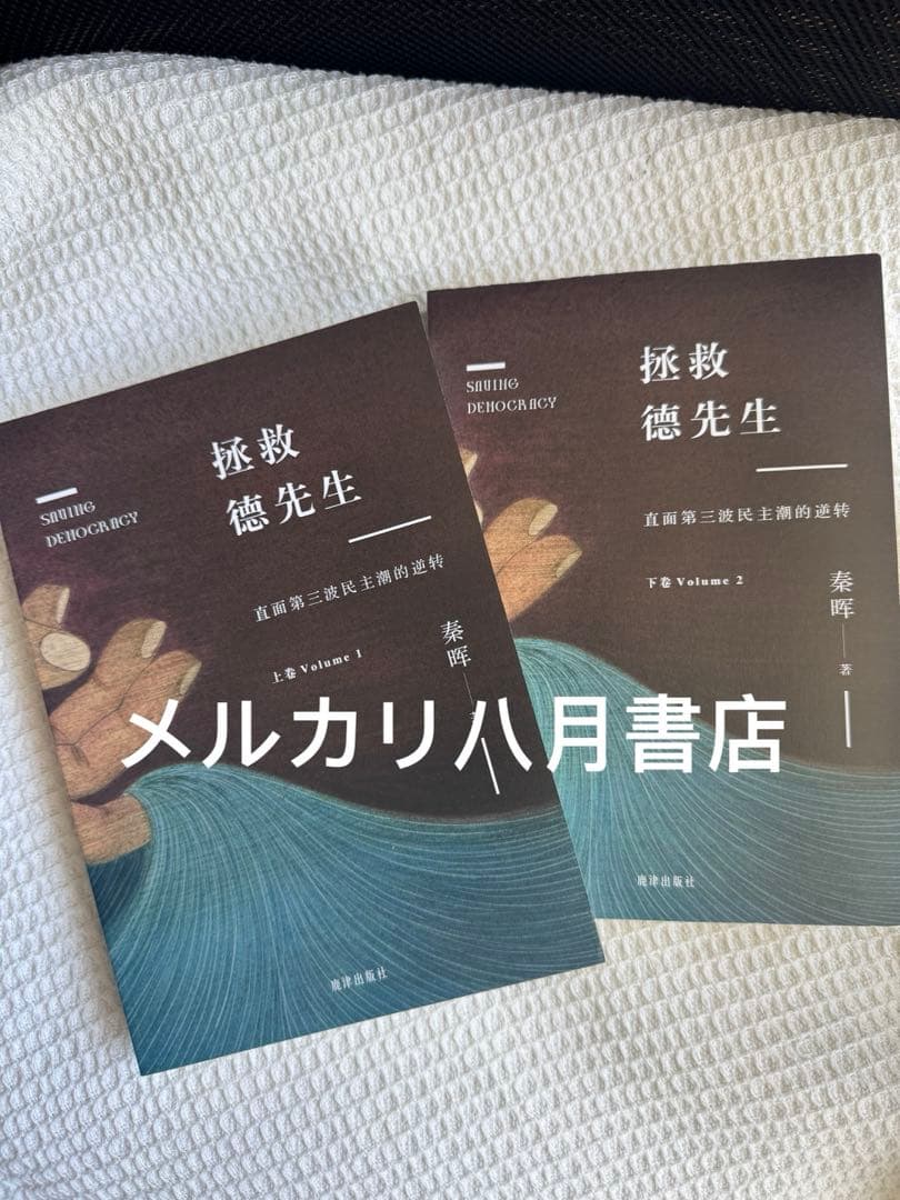 B拯救德先生（上下册）秦晖 鹿津出版社