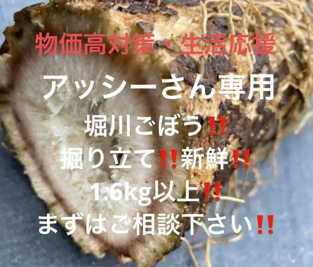 堀川ごぼう‼️新鮮‼️5kg以上‼️掘り立て‼️