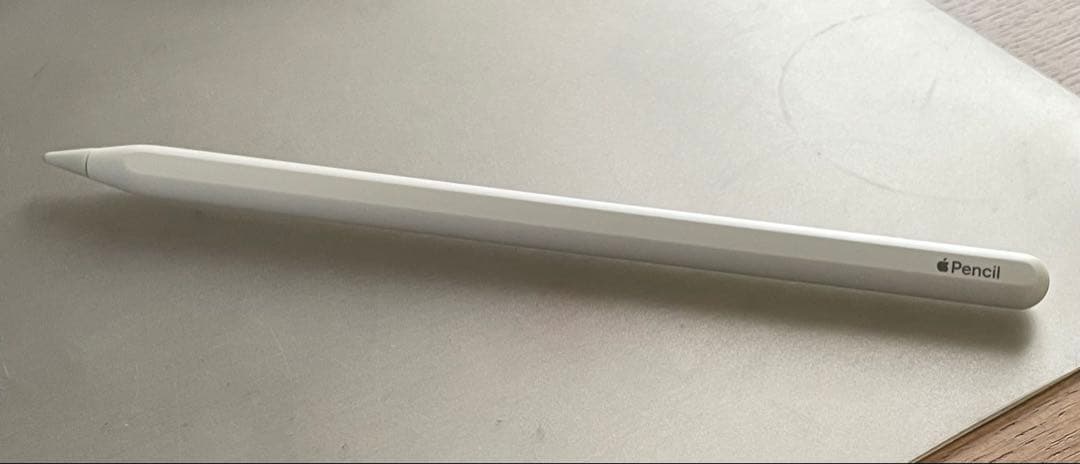 iPad Pro 12.9インチ 4世代 スペースグレー Wi-Fiモデル