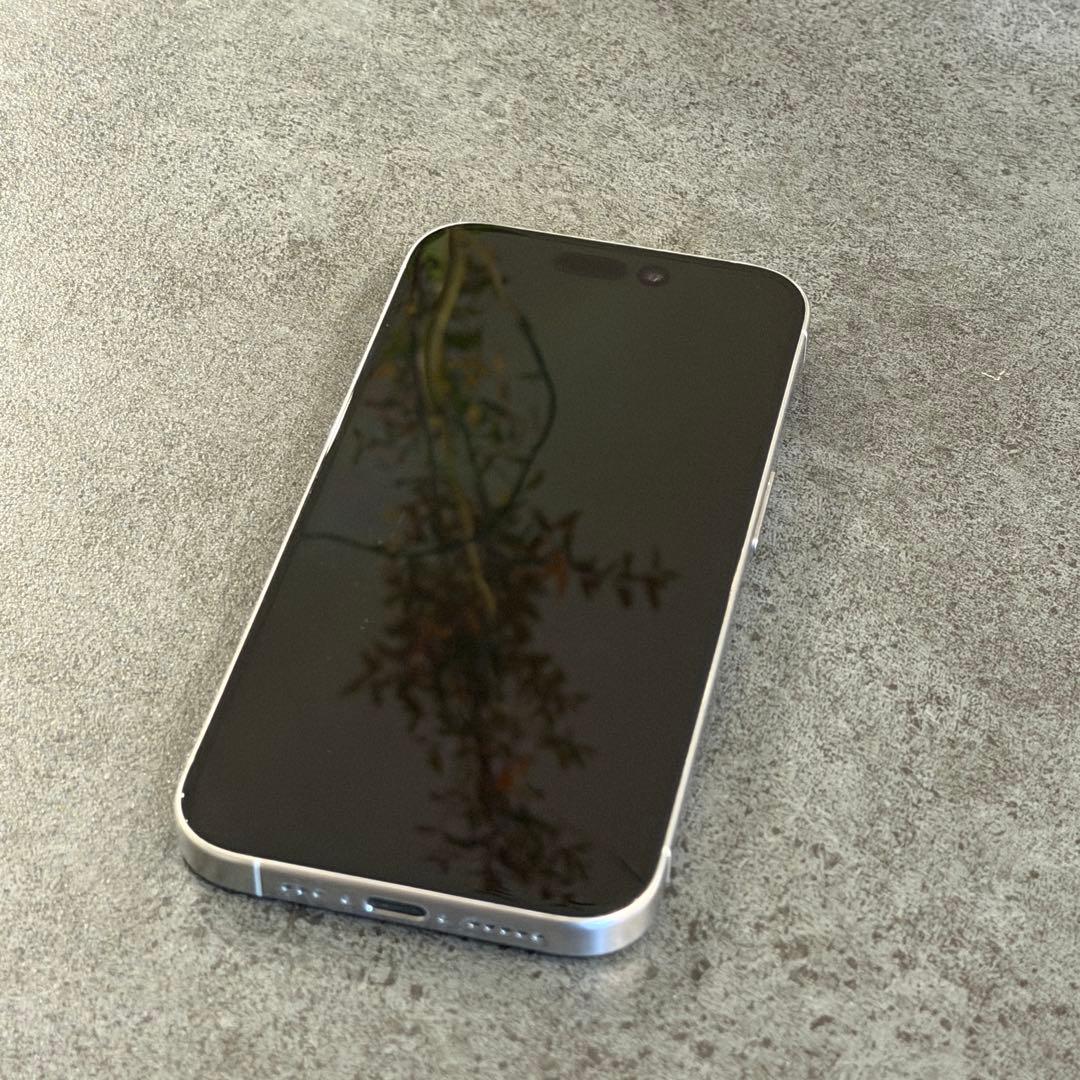 【タケルさん専用】【使用期間1年3ヶ月】iPhone 15 Pro ホワイト