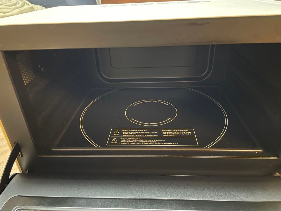 バルミューダ ジャンク