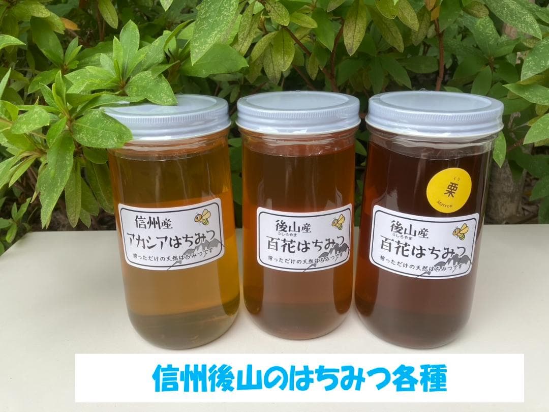 アカシア蜂蜜 1000g 2本 長野県産 国産蜂蜜 生蜂蜜 セイヨウミツバチ