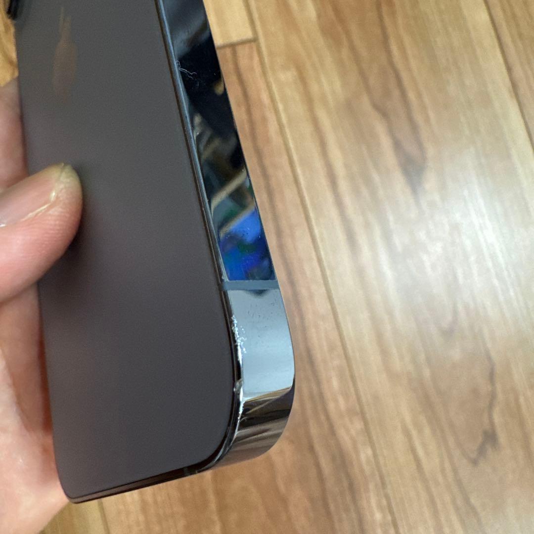 iPhone 13 Pro Max シエラブルー 海外SIMフリー