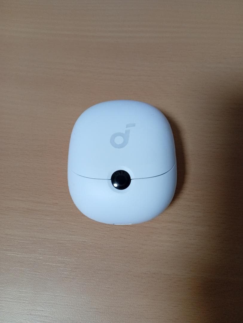 イヤホン Anker Soundcore VR P10