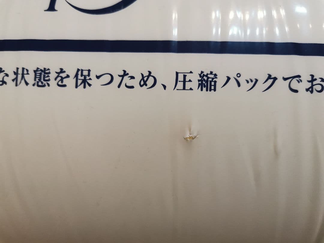 P*u様 トゥルースリーパー スタンダードタイプ シングル 低反発マットレス