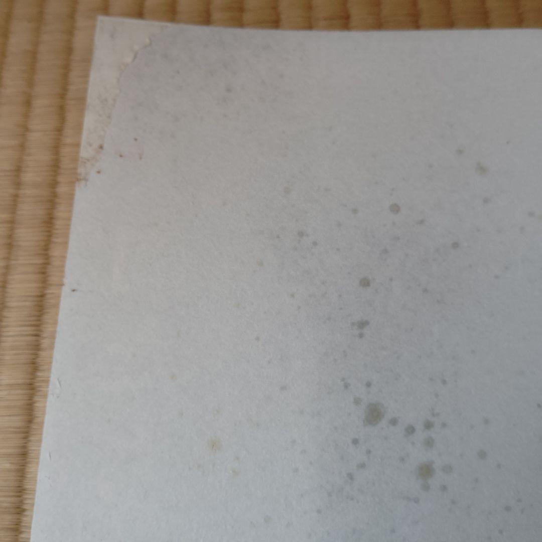 FINAL FANTASY VIII レンチキュラー B2ポスター