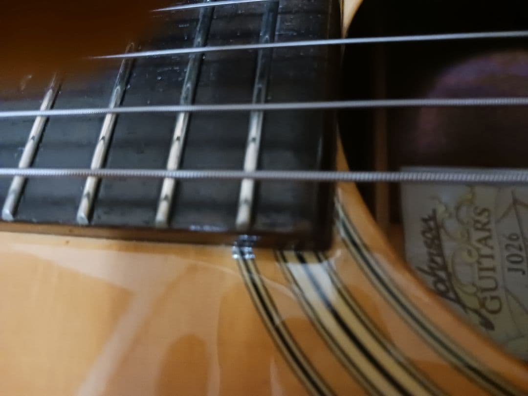 ジョンソン　JO26　ピックアップ　Johnson オール単板