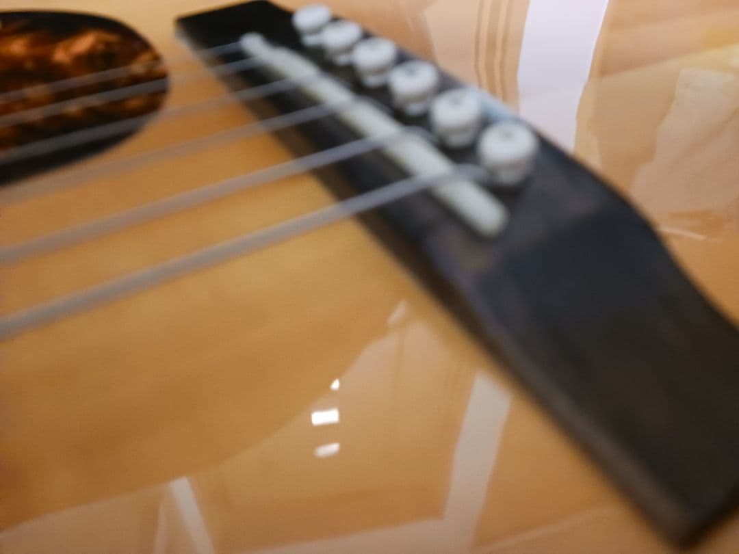 ジョンソン　JO26　ピックアップ　Johnson オール単板