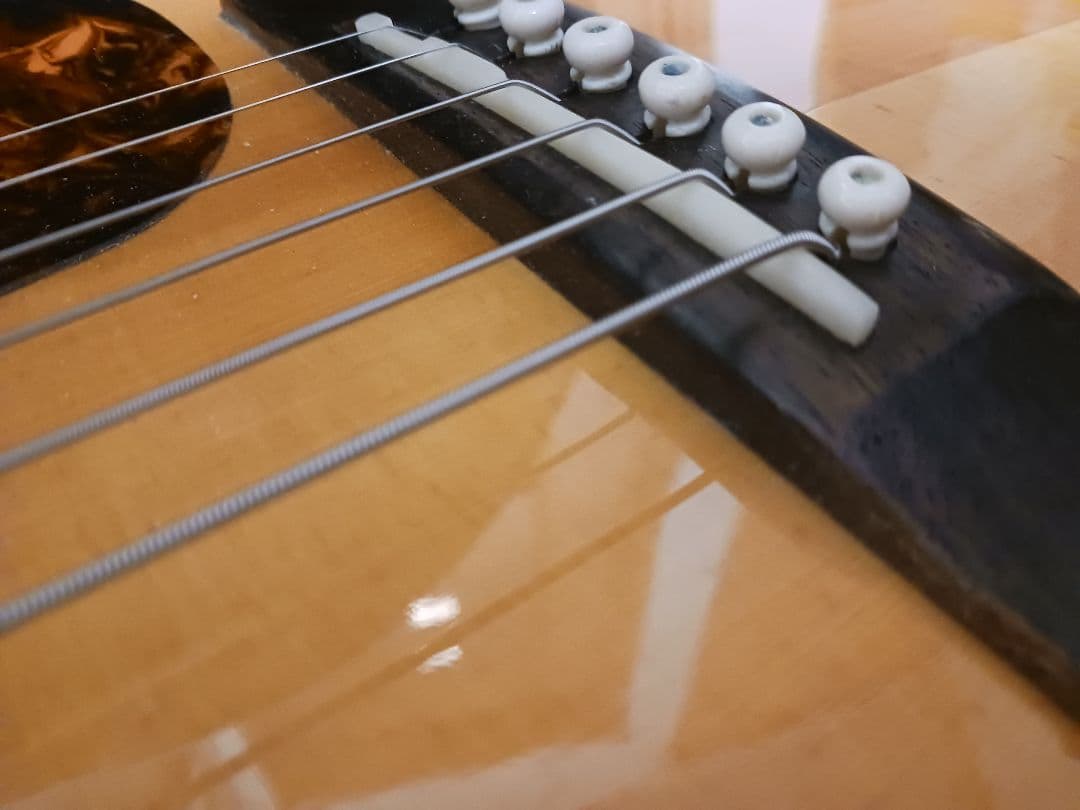 ジョンソン　JO26　ピックアップ　Johnson オール単板