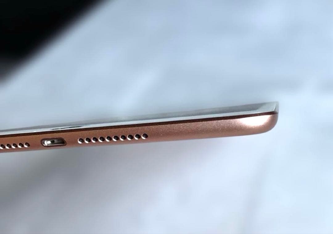 【状態良好】Apple iPad mini 5ゴールド 256GB