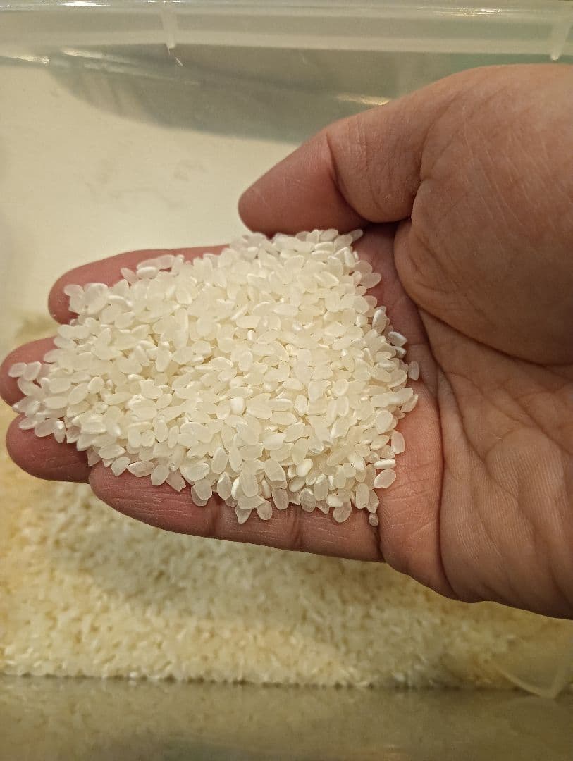 お米　群馬県産コシヒカリ精米前30キロ 令和7年新米