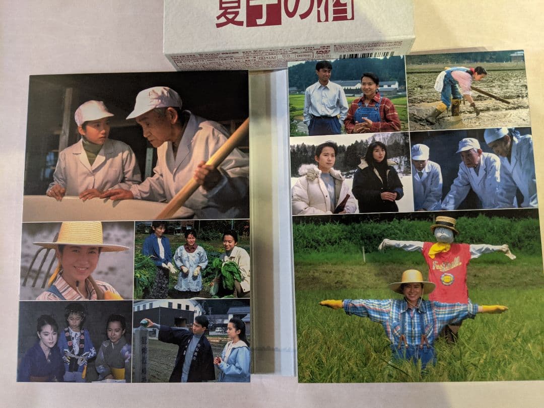 夏子の酒 DVD ボックスセット　美品