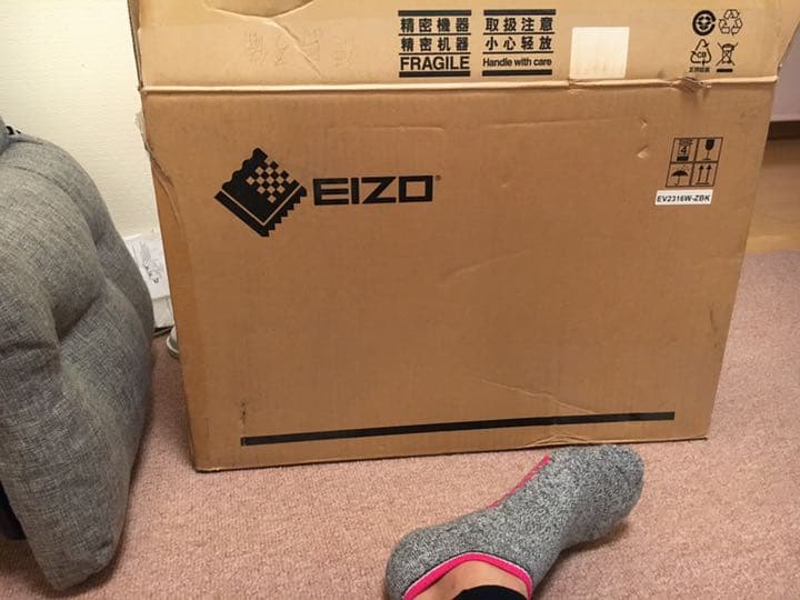 ディスプレイ・モニター本体 FlexScan EV2316W-Z