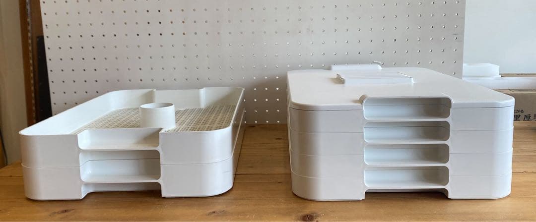 Labonect 食品乾燥機 ドラミニ