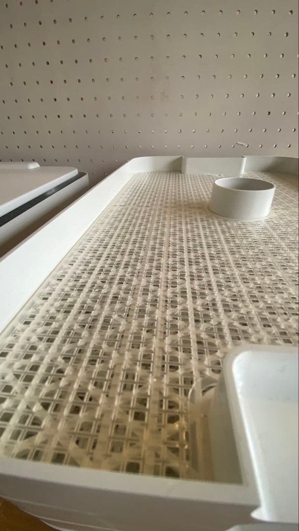 Labonect 食品乾燥機 ドラミニ