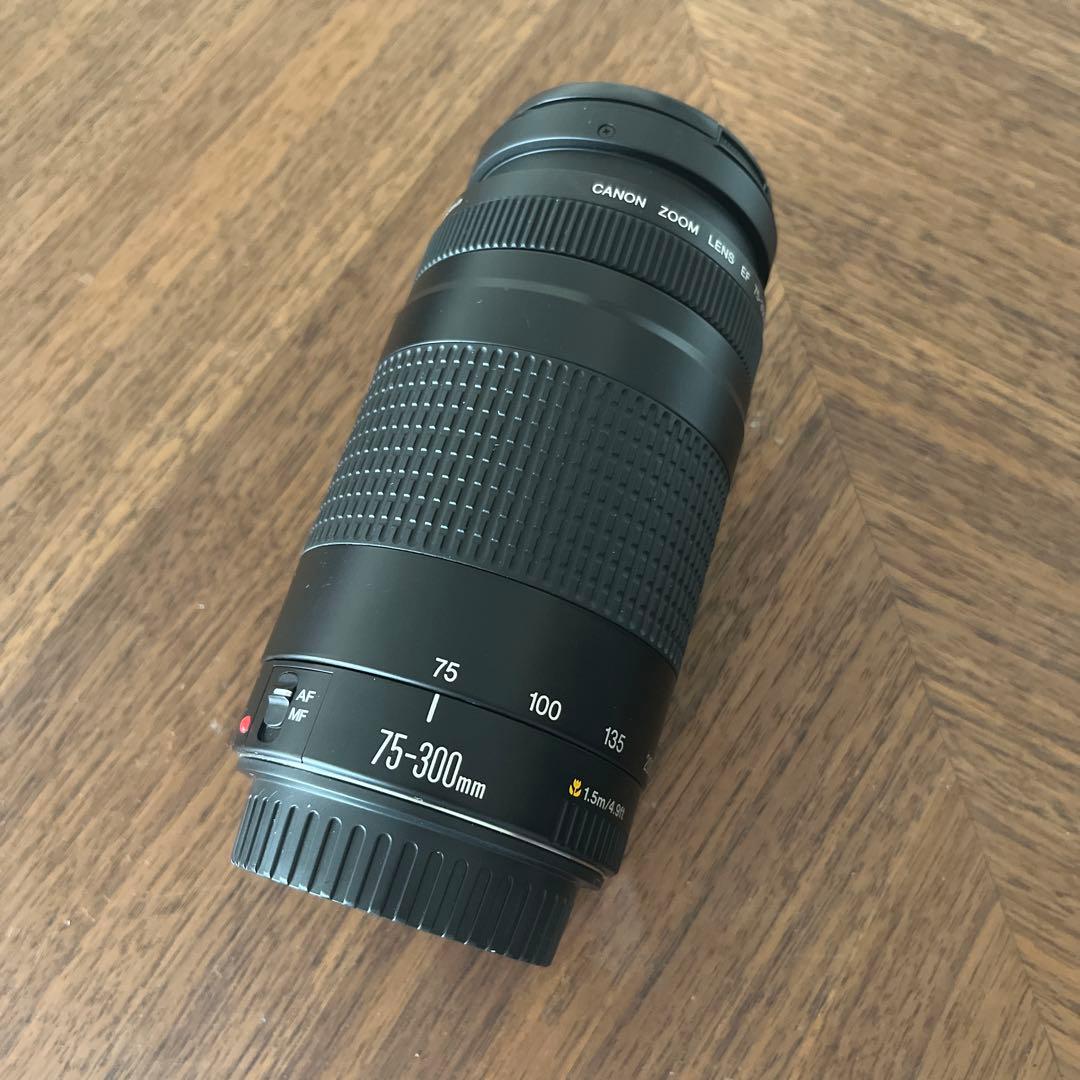 【超美品】キャノン Canon EF75-300mm F/4-5.6 II 望遠