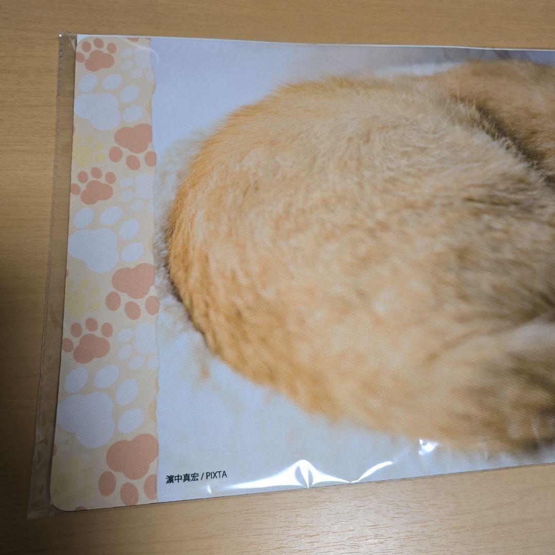 テ*ダ様 【未開封、匿名配送】トレカアイテムくじ　猫これくしょん　2点セット