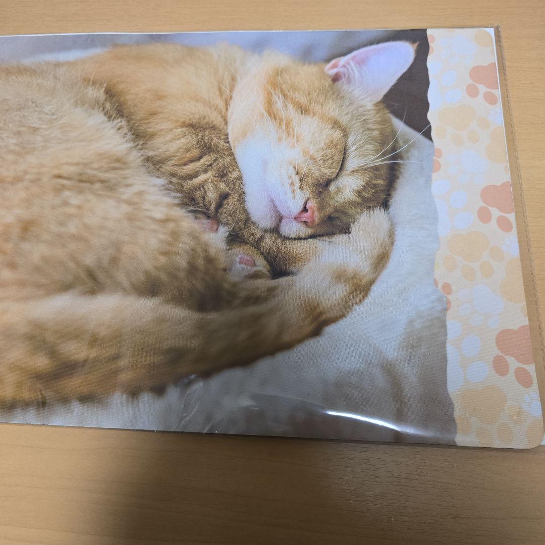 テ*ダ様 【未開封、匿名配送】トレカアイテムくじ　猫これくしょん　2点セット