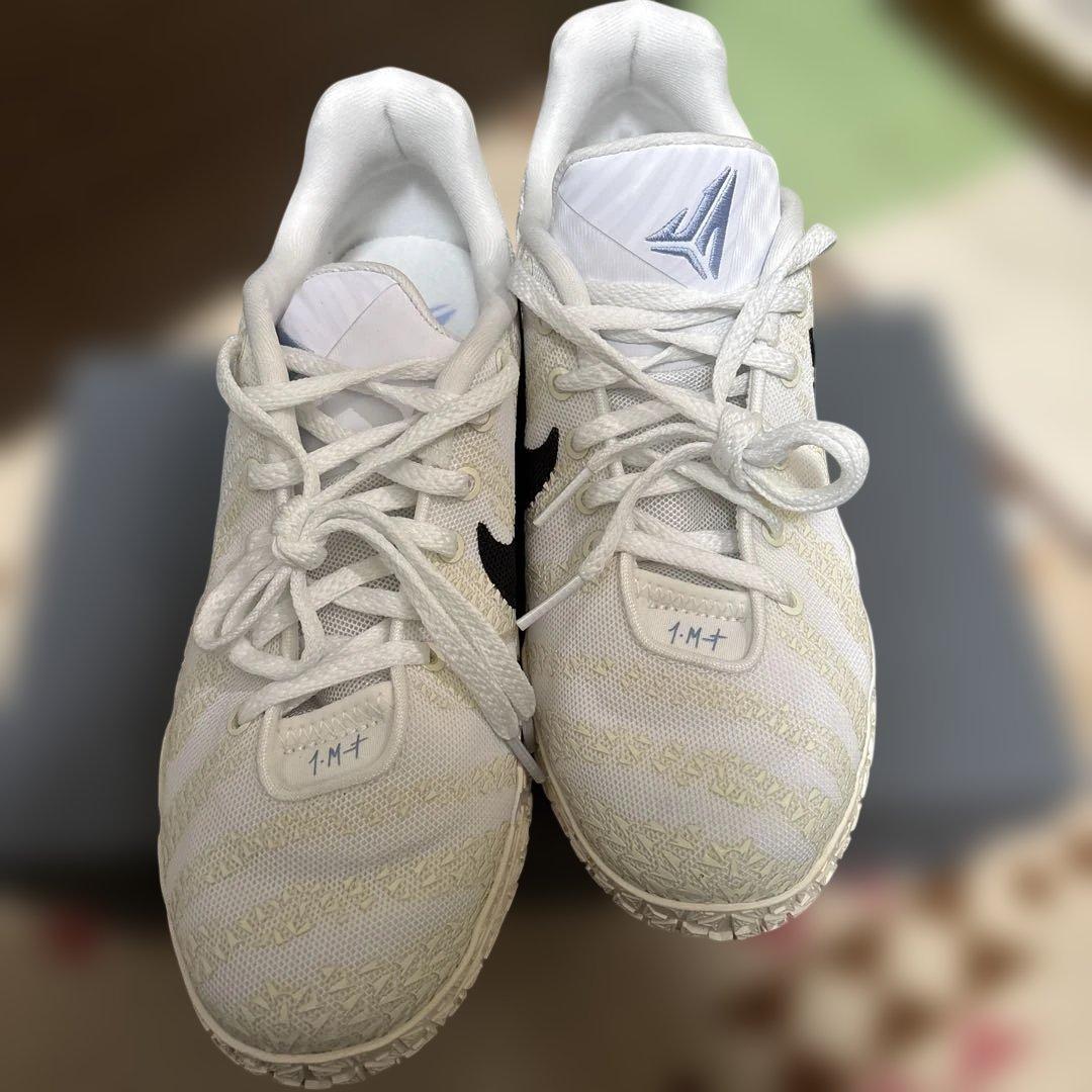 Nike Zoom Freak 1 ホワイト 6.5Y