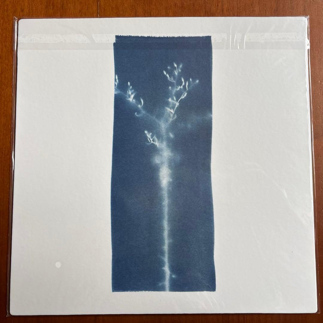 user_a94787f7 　BTS RM INDIGO LP