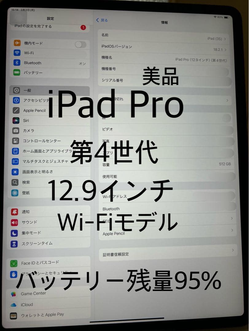 iPad Pro本体13インチ 512GB【箱つき】