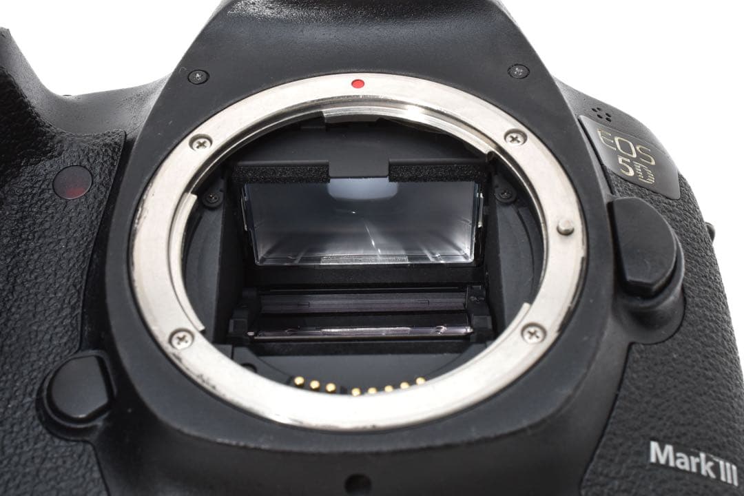 Canon EOS 5D mark III標準&望遠ダブルレンズセット