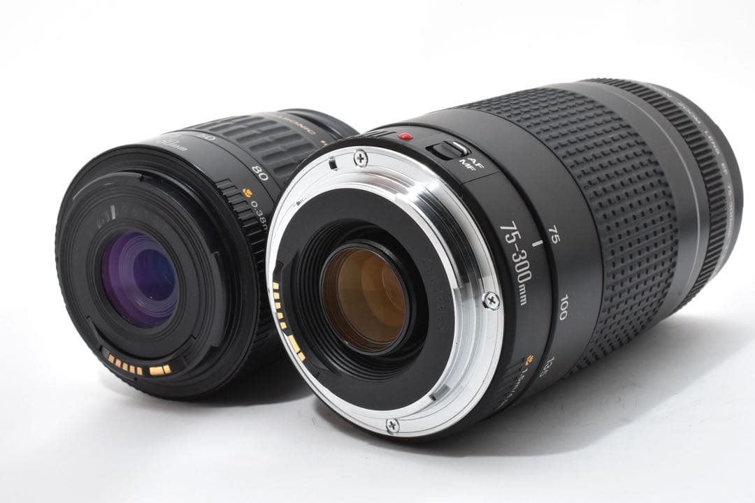 Canon EOS 5D mark III標準&望遠ダブルレンズセット