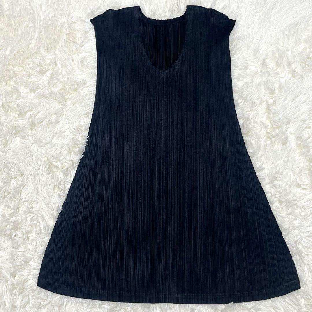 プリーツプリーズ　チュニック　Aライン　ワンピース　L フレンチスリーブ　黒