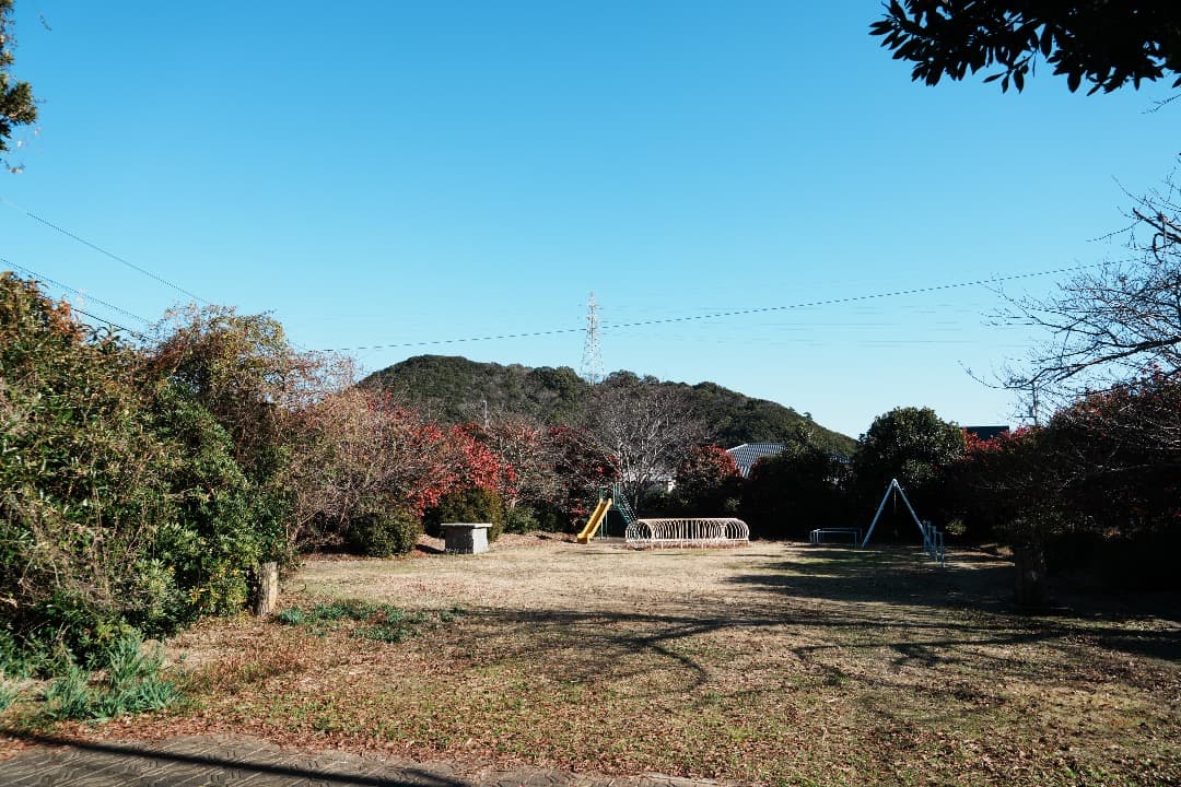 【運動会も旅行も】SEL24240 美品 箱付 10倍ズーム これ1本で完結