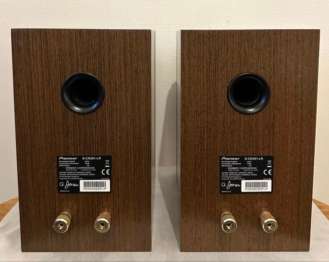 PioneerパイオニアスピーカーS-CN301-LR