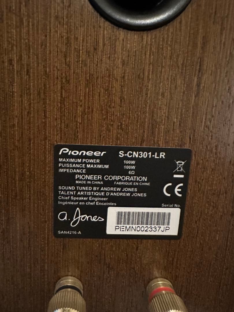 PioneerパイオニアスピーカーS-CN301-LR
