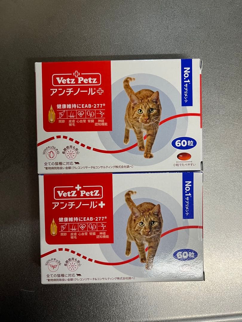 格安　猫用 アンチノール プラス 60粒×2箱