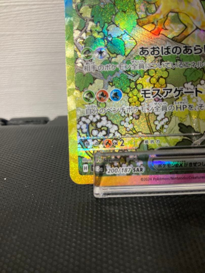 テラスタルフェスex リーフィアex SARニンフィア(マスボミラー)セット売り