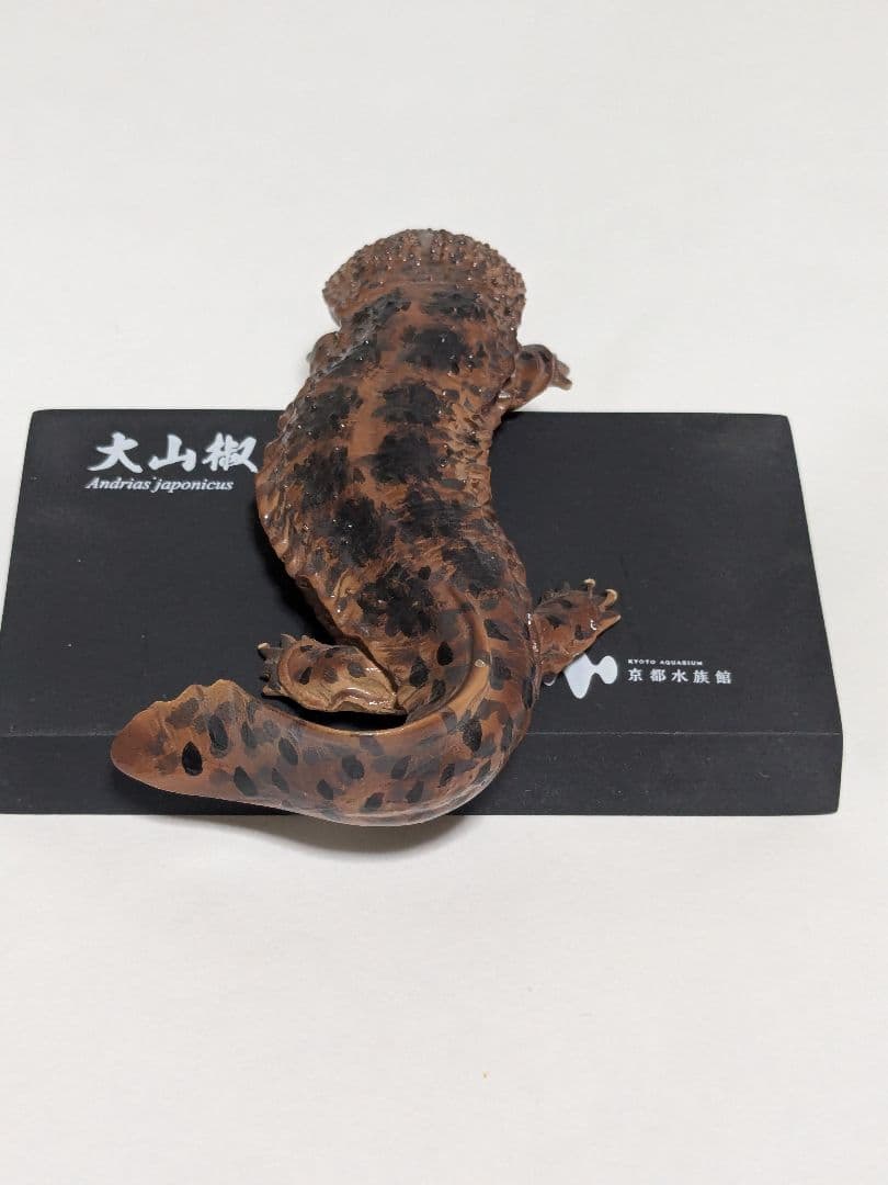 海洋堂 京都水族館限定フィギュア オオサンショウウオ