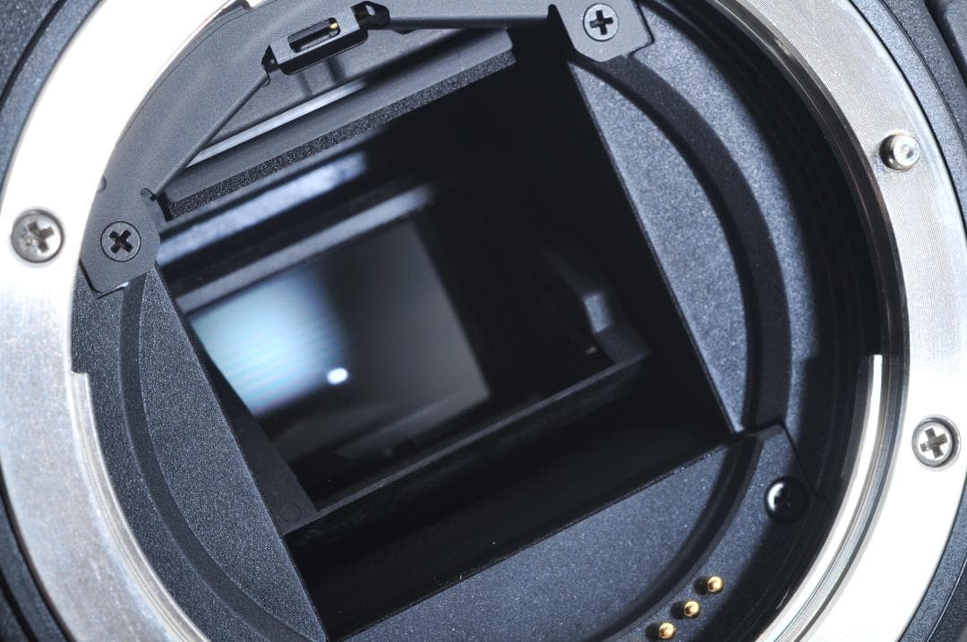 キャノン Canon EOS 7D Mark II ≪シャッター4300回≫