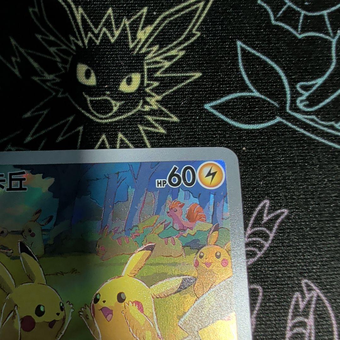 ラスト！ポケモンカード 皮卡丘 151/151 中国版