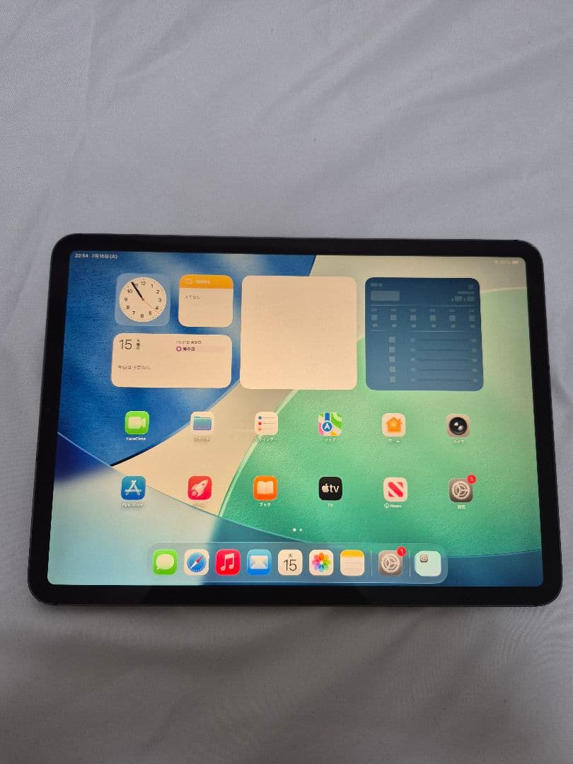 iPad pro スペースグレイ 64GB おまけ付き Cellular