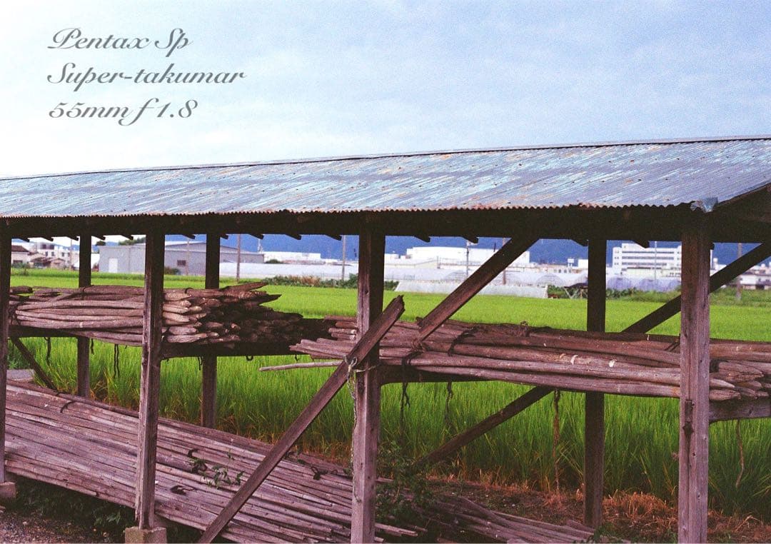 ★ブラウンベージュリザード本革外装★pentax sp ★完動＊美品＊初期保証