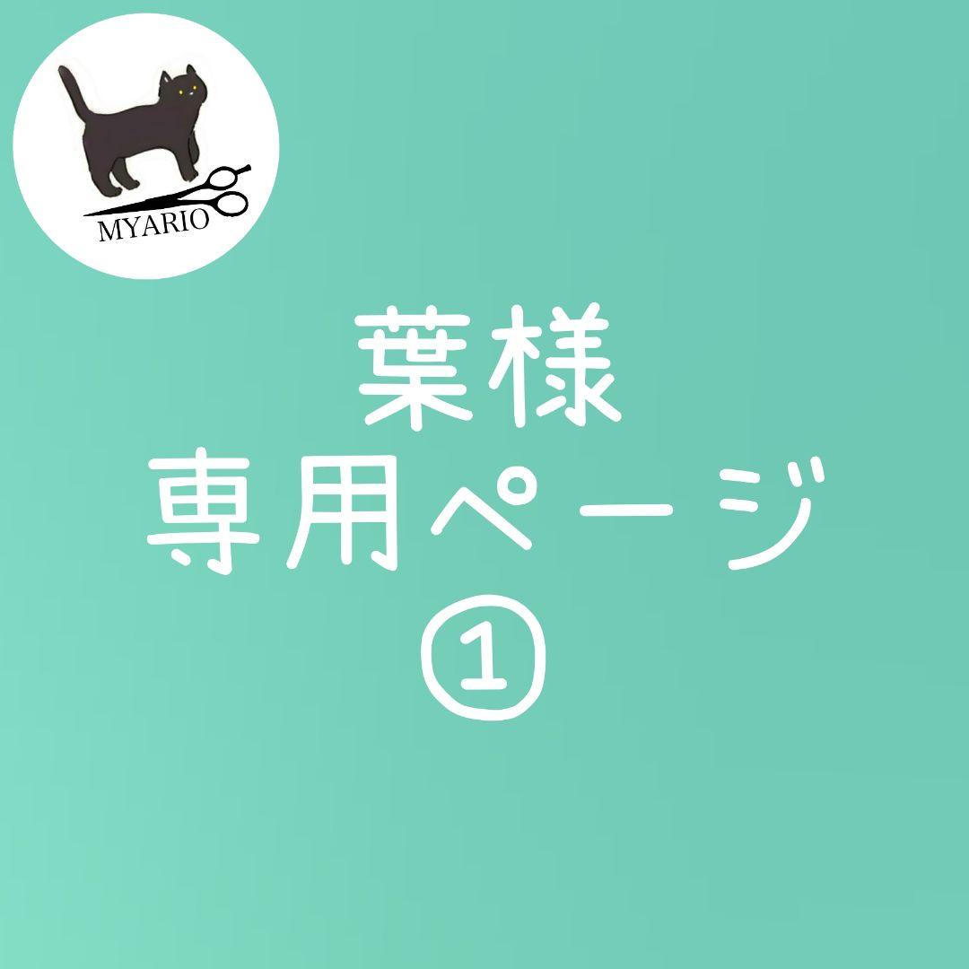 お見積もり専用ページ(#490-①)