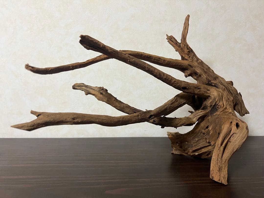 175 流木　ホーンウッド　マシンガンウッド　アクアリウム　ブランチウッド